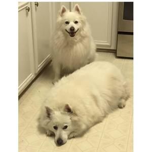 Meet your Posher, Theresa